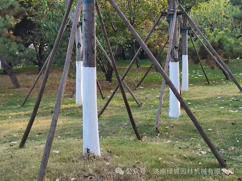 DƬ