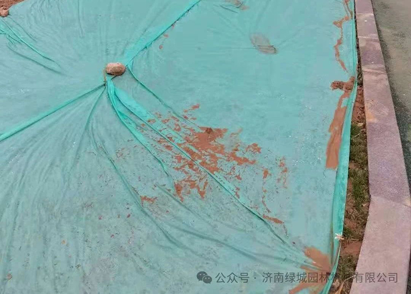DƬ