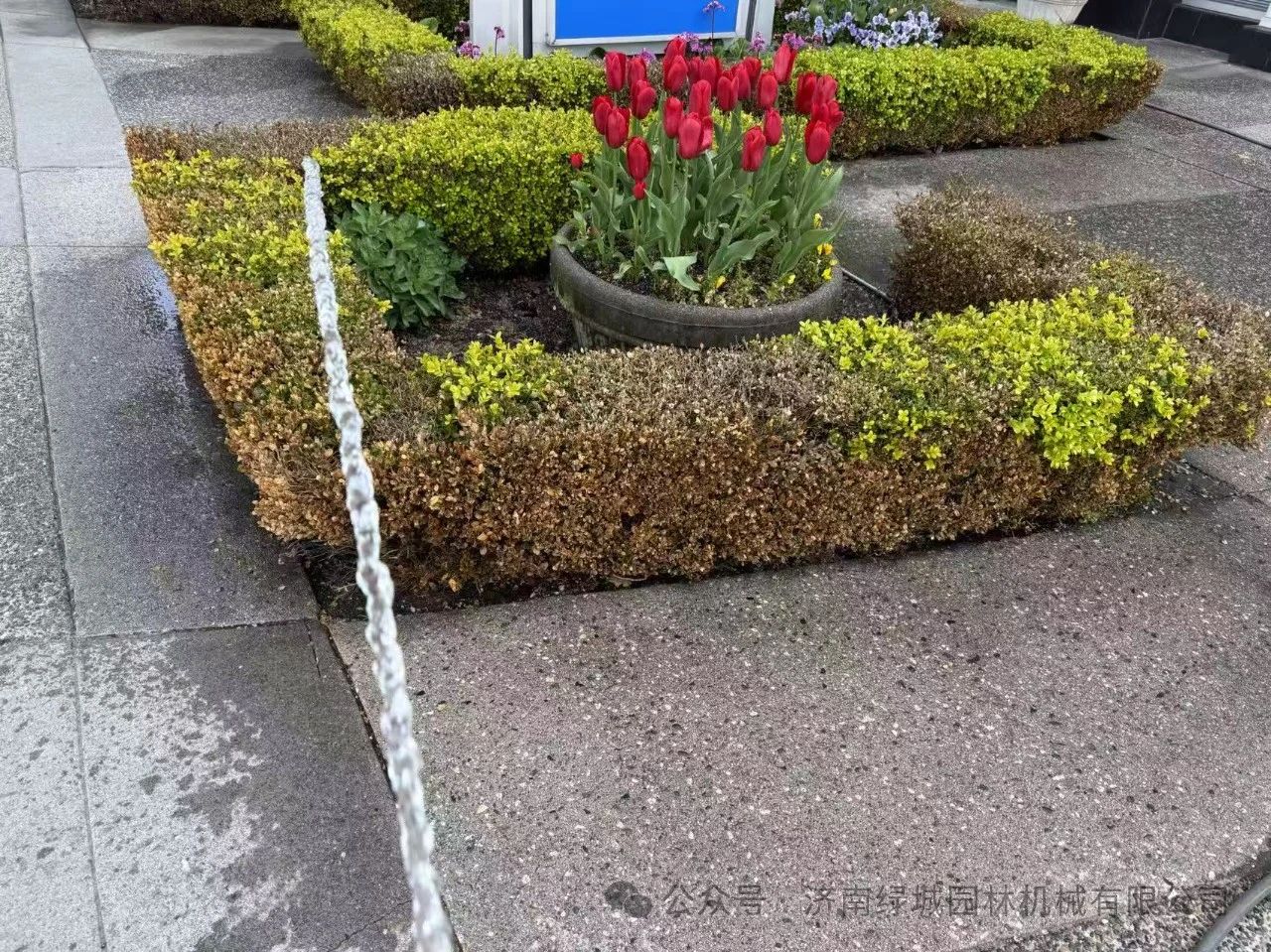 DƬ
